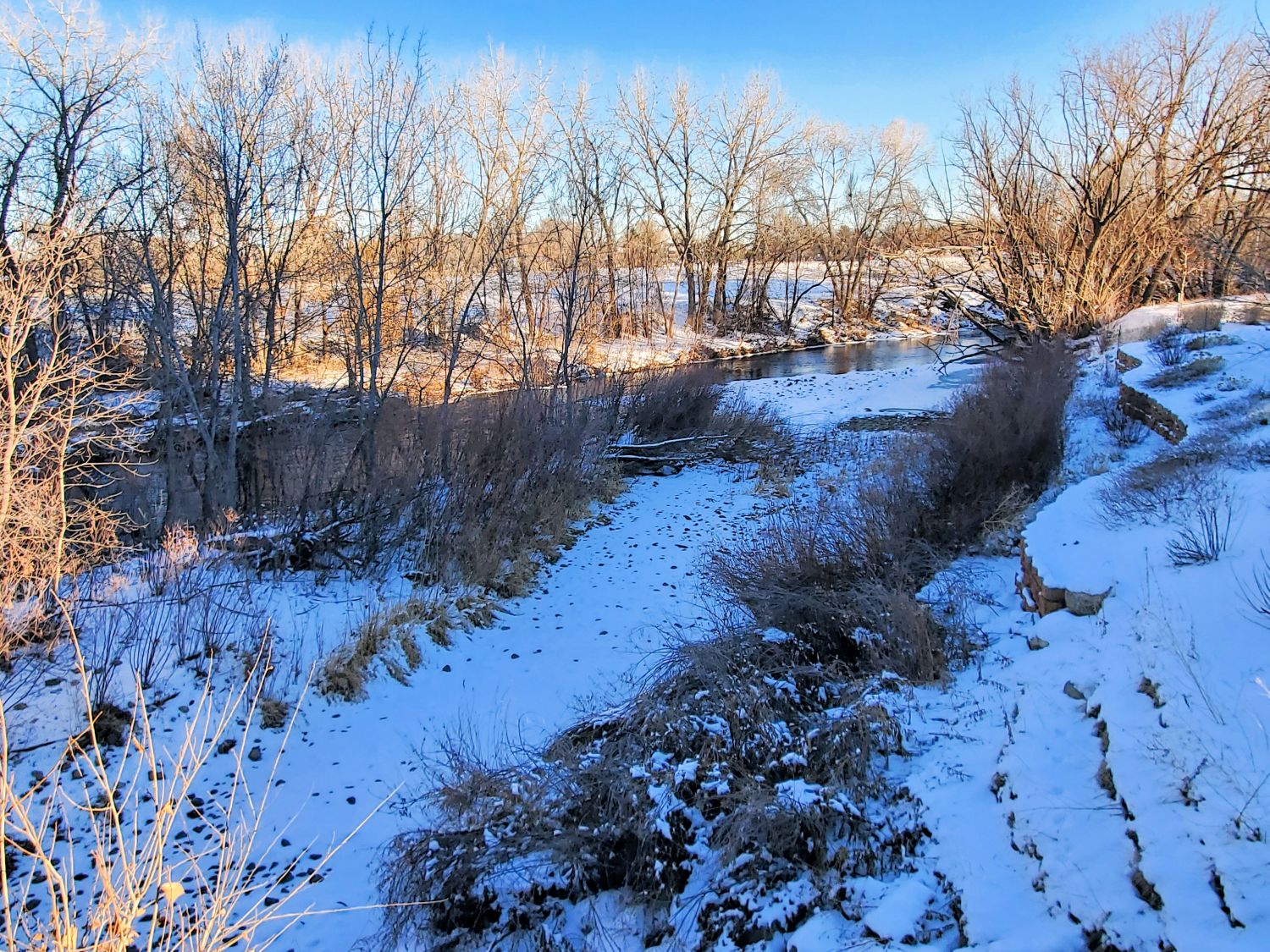 Poudre River Trail 